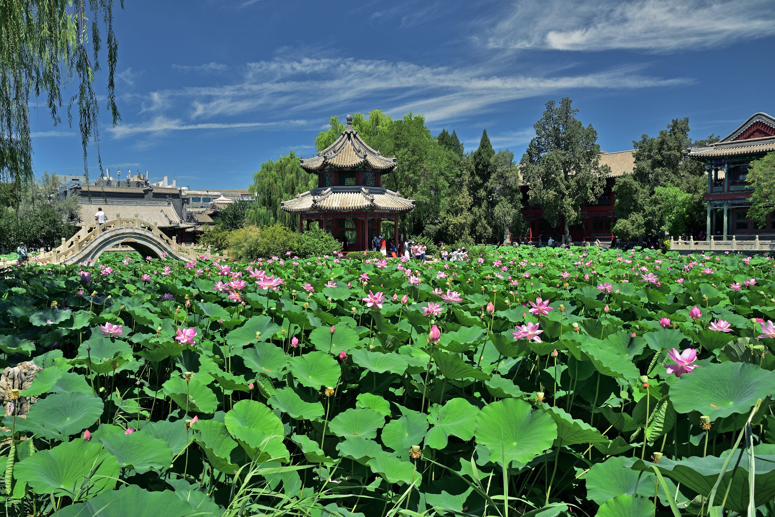 🏛️ 우라와 생활 박물관 민가원(우라와쿠라시노하쿠부츠칸민카엔) 이미지 4